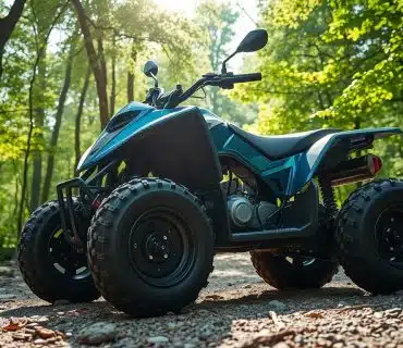 Tabela FIPE IROS Brave 150 QUADRICICLO 2009